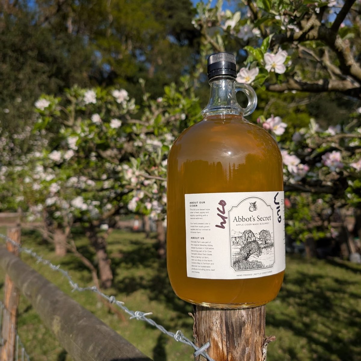 A flagon of Abbot's Secret cider on a fence post among apple blossom