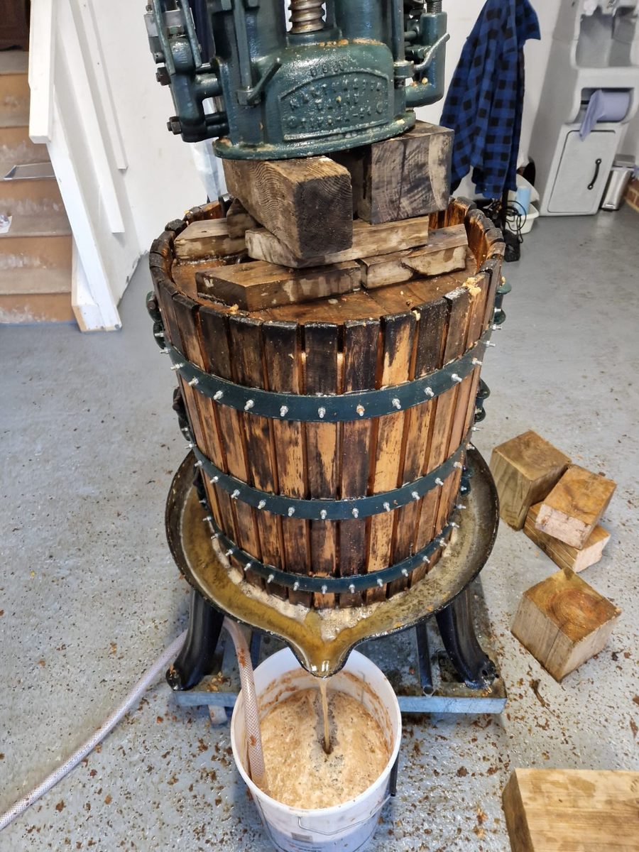 Juice running from the old basket press into a bucket